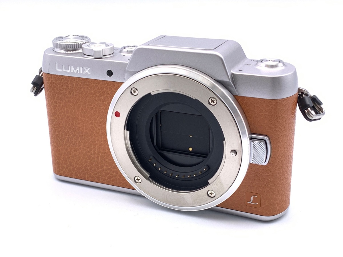 価格.com - パナソニック LUMIX DC-G99D ボディ 純正オプション