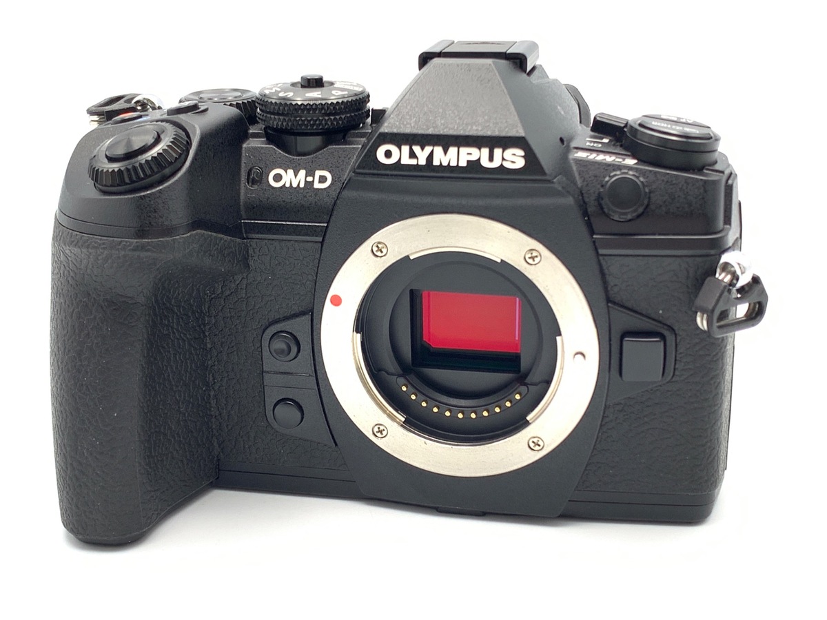 価格.com - オリンパス OLYMPUS PEN E-PL10 EZダブルズームキット 純正