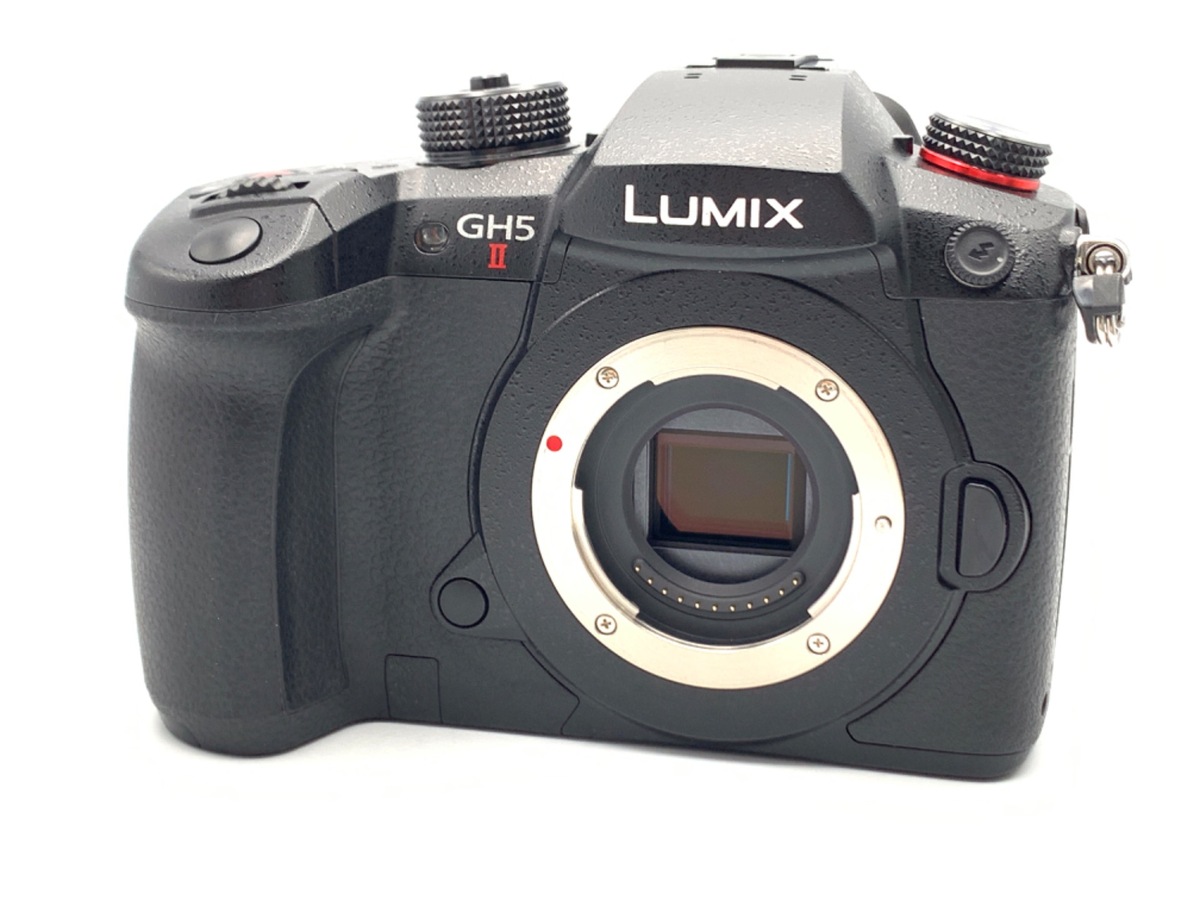 LUMIX GX1 ミラーレスカメラ 本体とバッテリー2個付き LUMIX GX1 ミラーレスカメラ 本体とバッテリー LUMIX GX1 ミラーレス