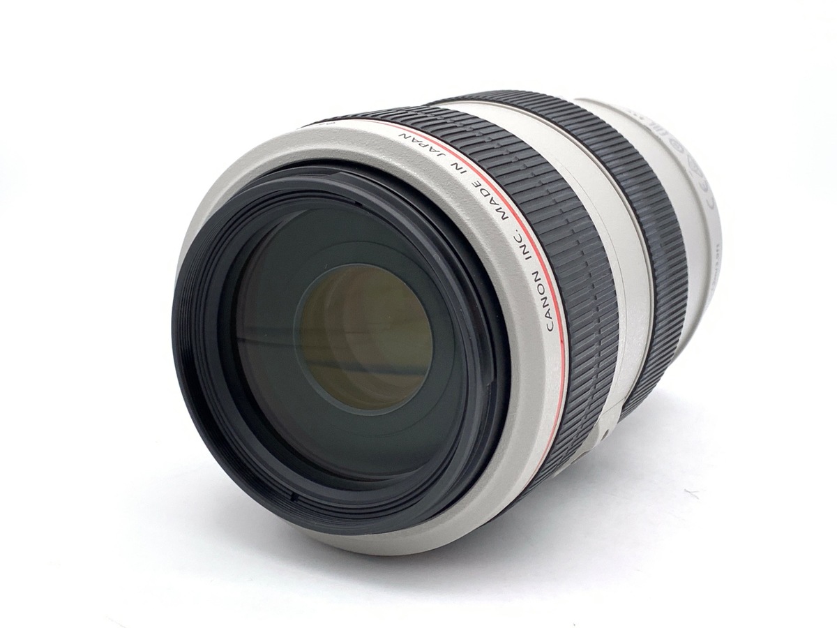 EF 70-300/4-5.6 L IS USM