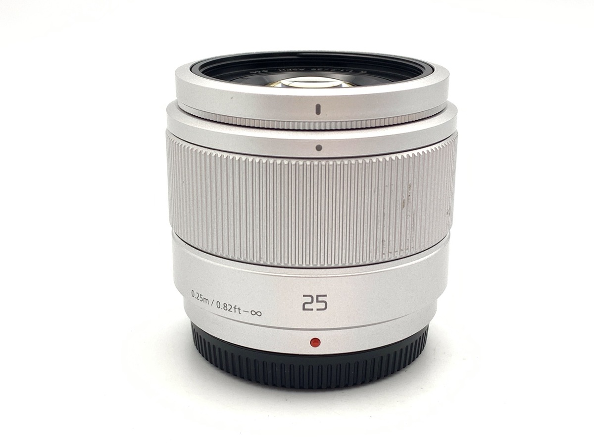 ☆美品☆ Panasonic LUMIX 45-200mm H-FS045200 パナソニック LUMIX G VARIO 45-200mm/F4.0-5.6/MEGA O.I.S. H