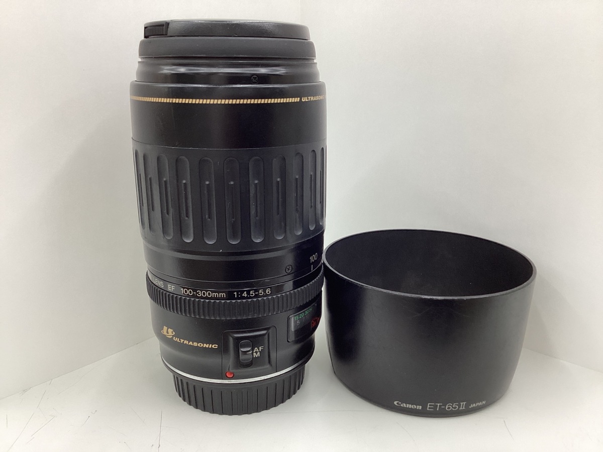 中古】キヤノン EFレンズ EF100-300mm F4.5-5.6 USM 在庫一覧｜カメラ