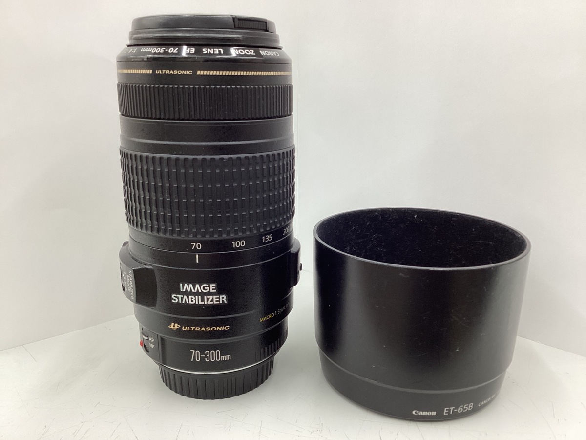 EF 70-300/4-5.6 IS USM