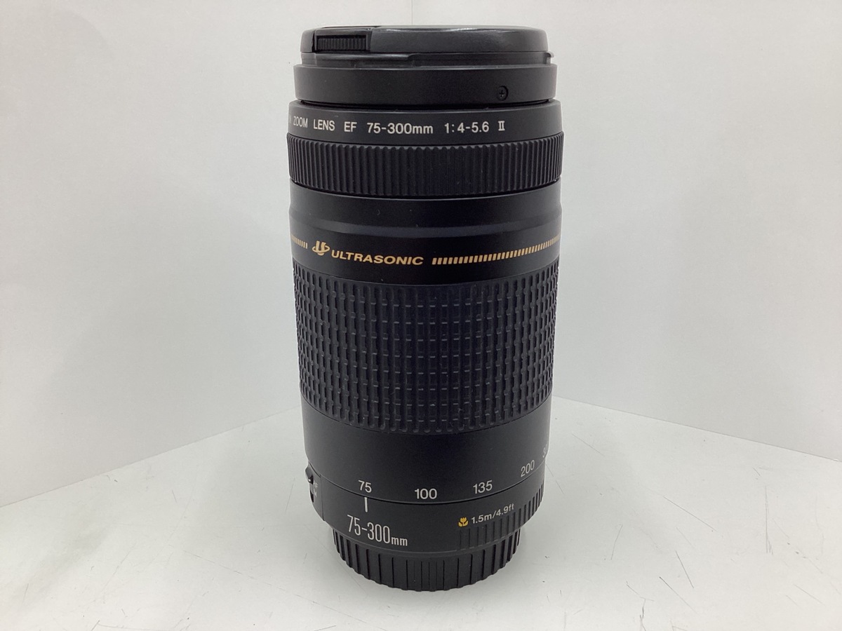 中古】キヤノン（CANON） EF 75-300/4-5.6 在庫一覧｜カメラのキタムラ