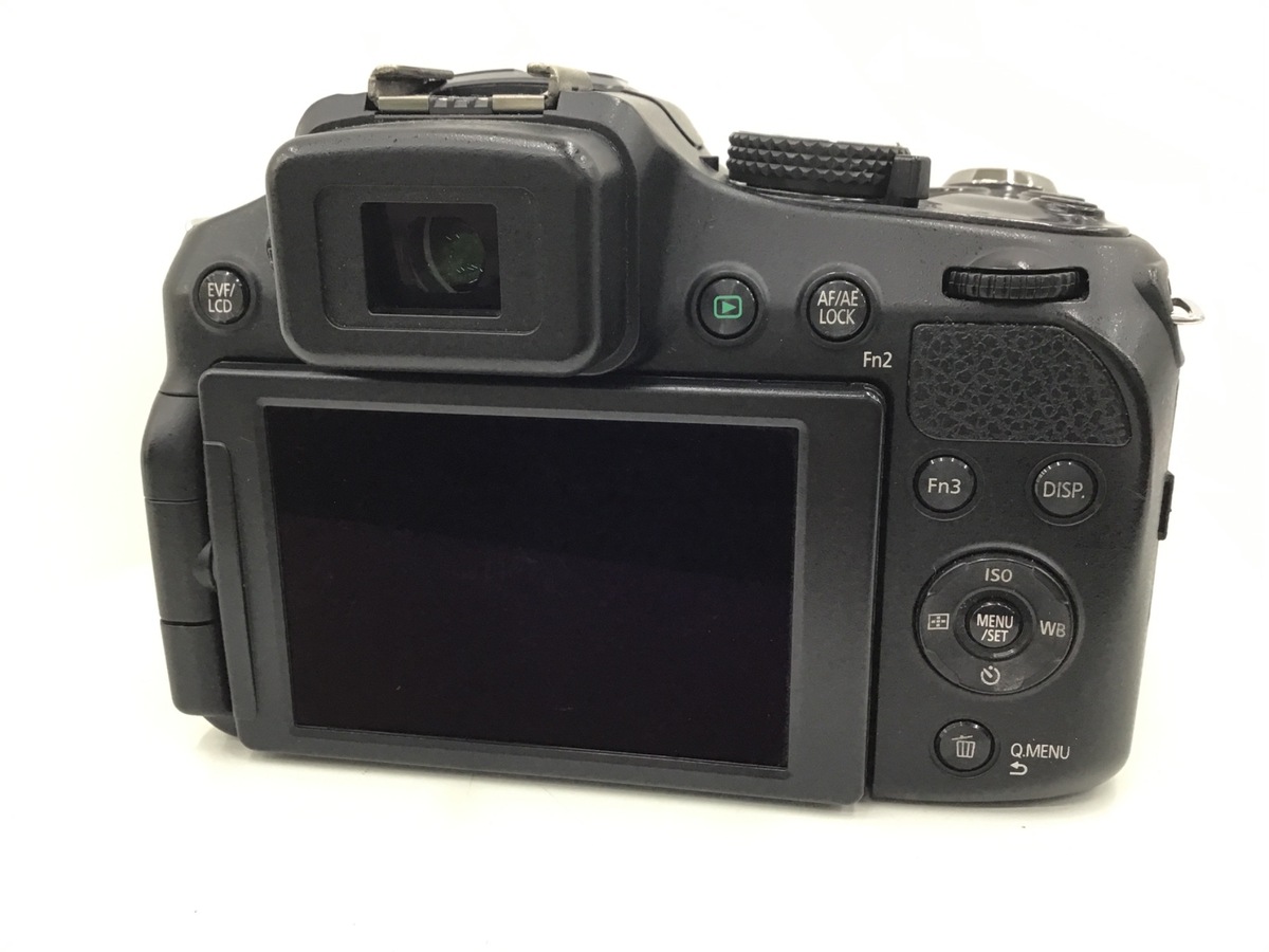 DMC-FZ200�y1210����f�z