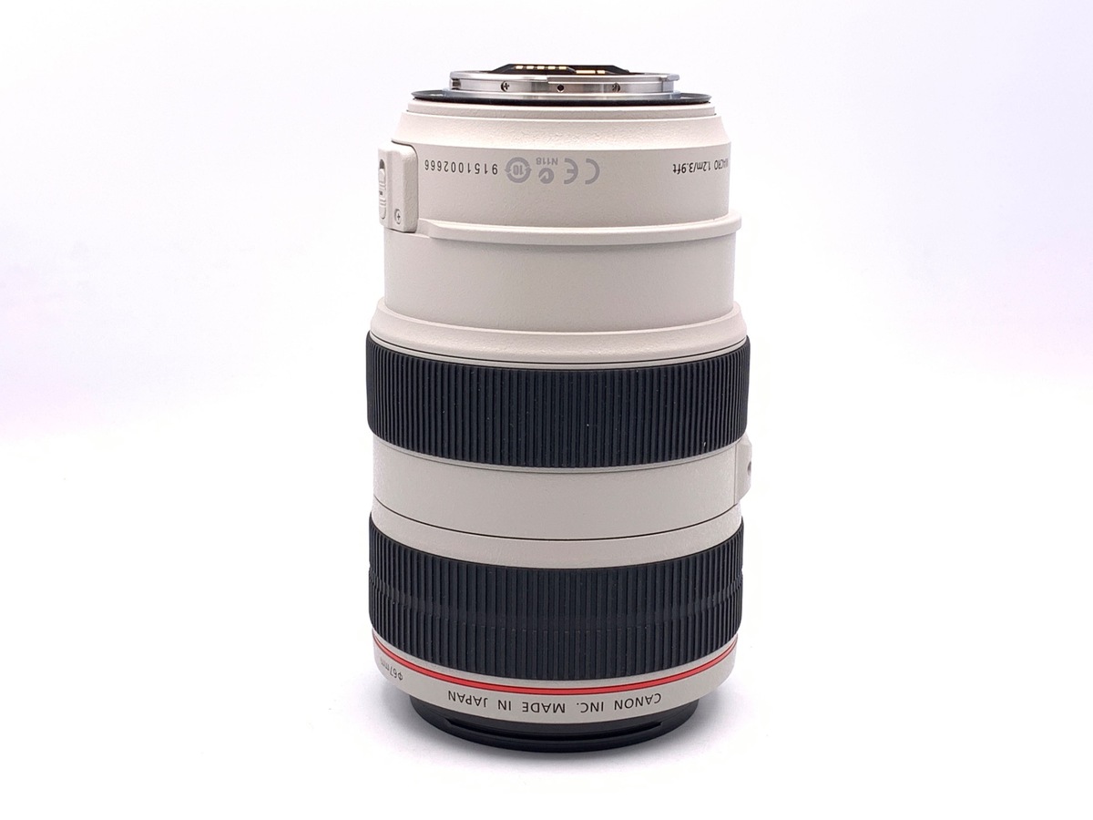 EF 70-300/4-5.6 L IS USM