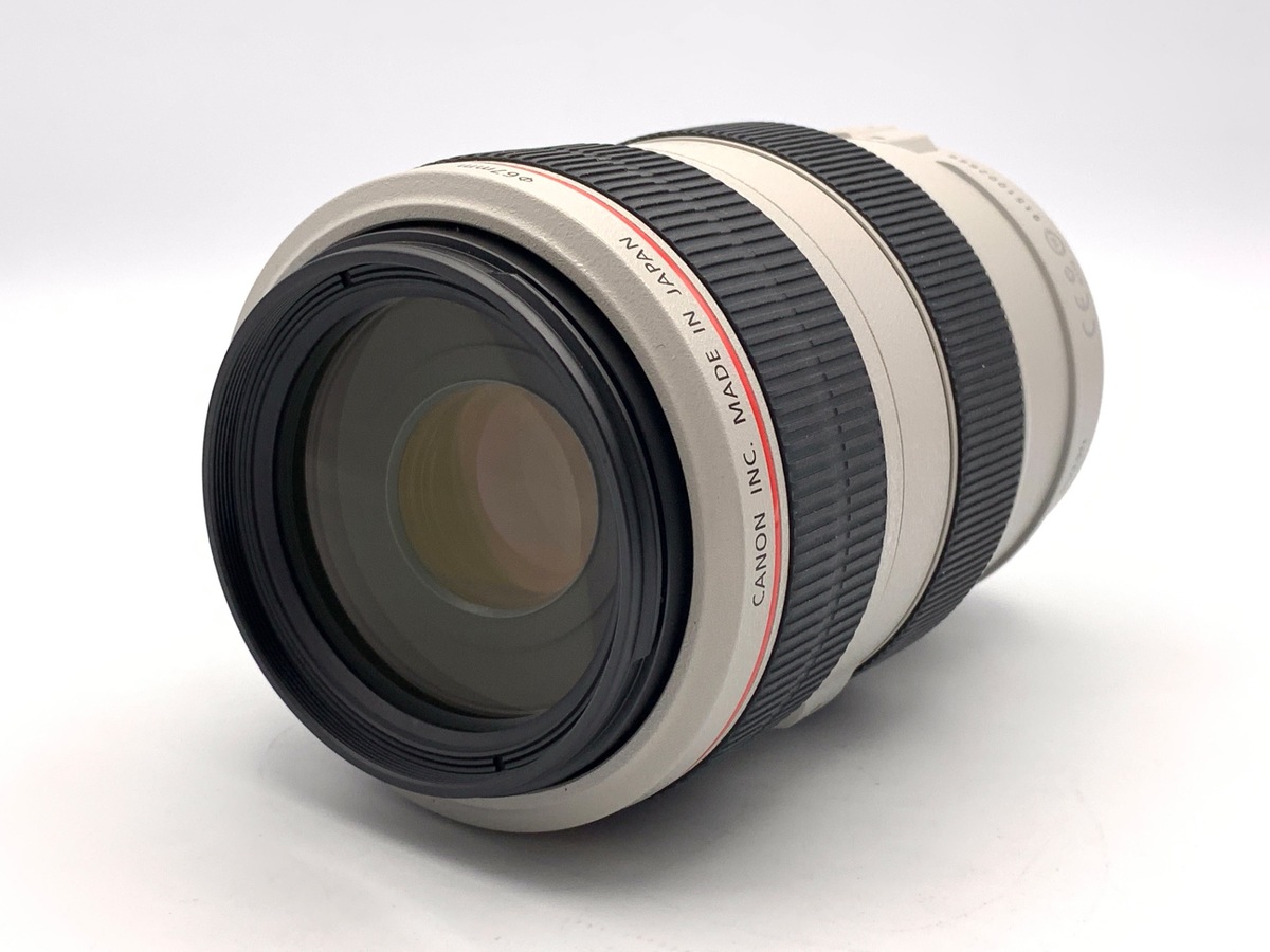 EF 70-300/4-5.6 L IS USM