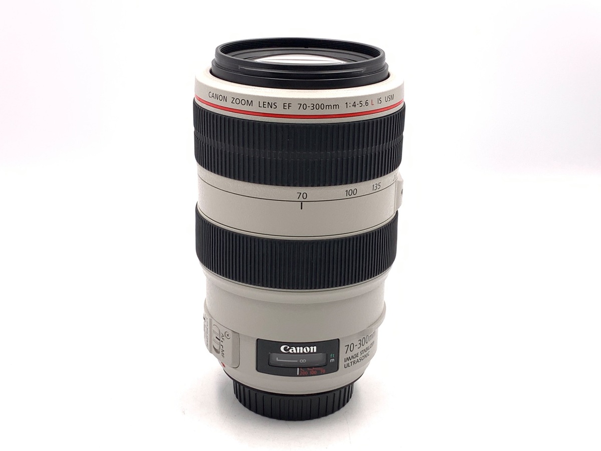 EF 70-300/4-5.6 L IS USM
