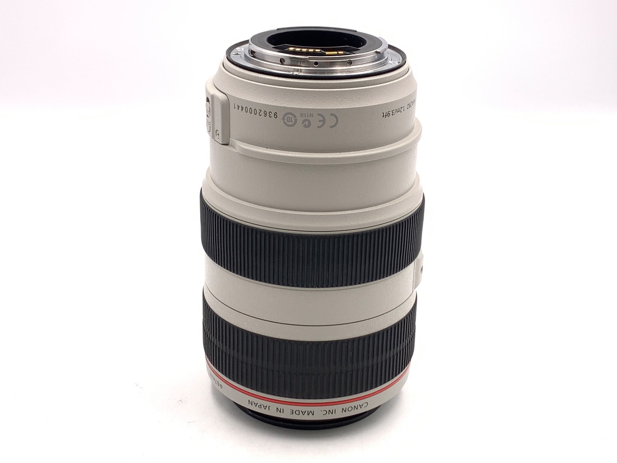 EF 70-300/4-5.6 L IS USM