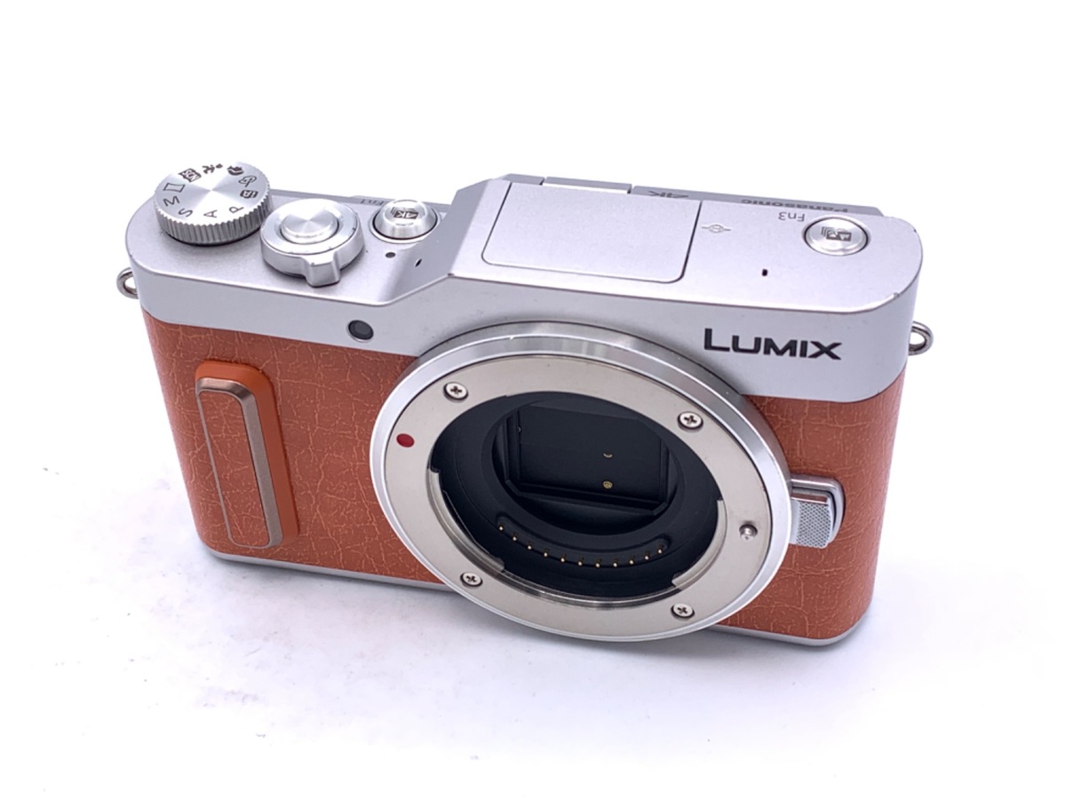 DC-GF10 ���ި ��ݼށy1600����f�z