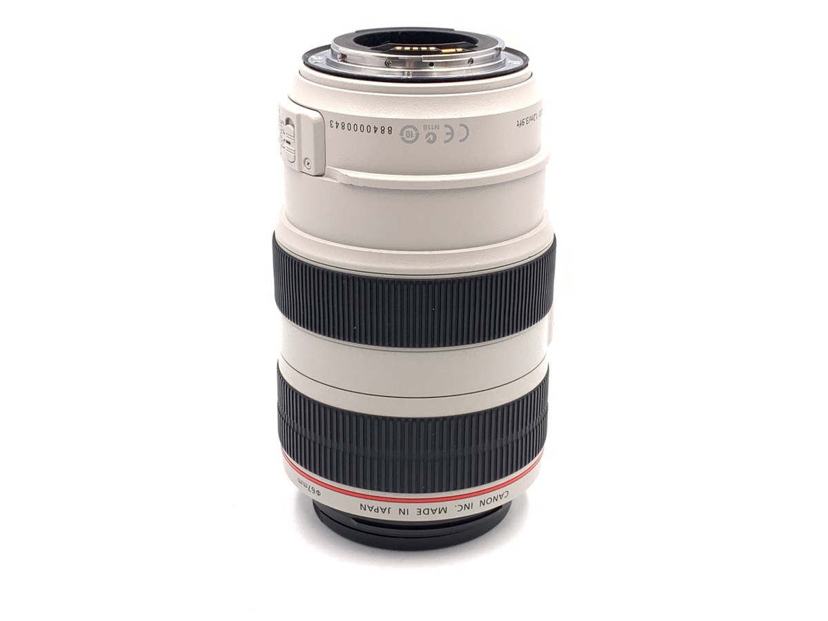 EF 70-300/4-5.6 L IS USM