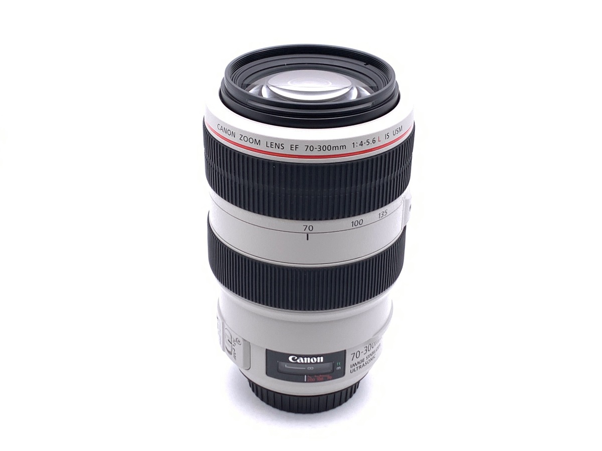 EF 70-300/4-5.6 L IS USM