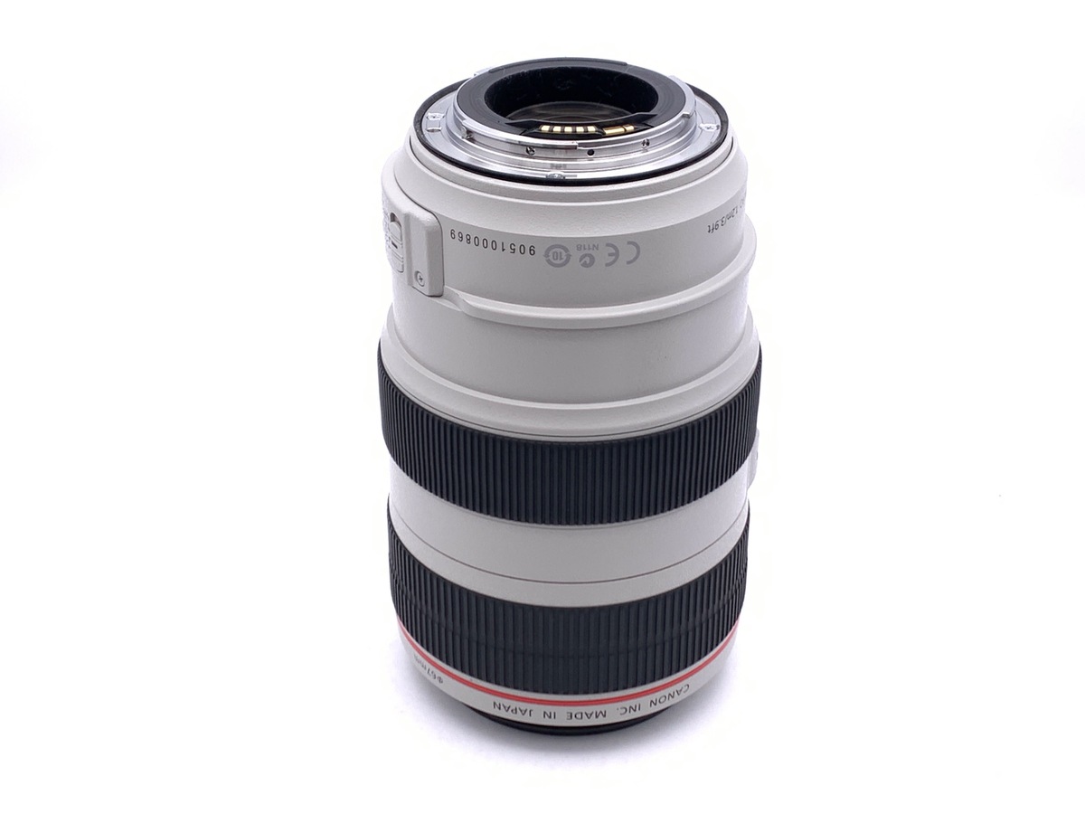 EF 70-300/4-5.6 L IS USM