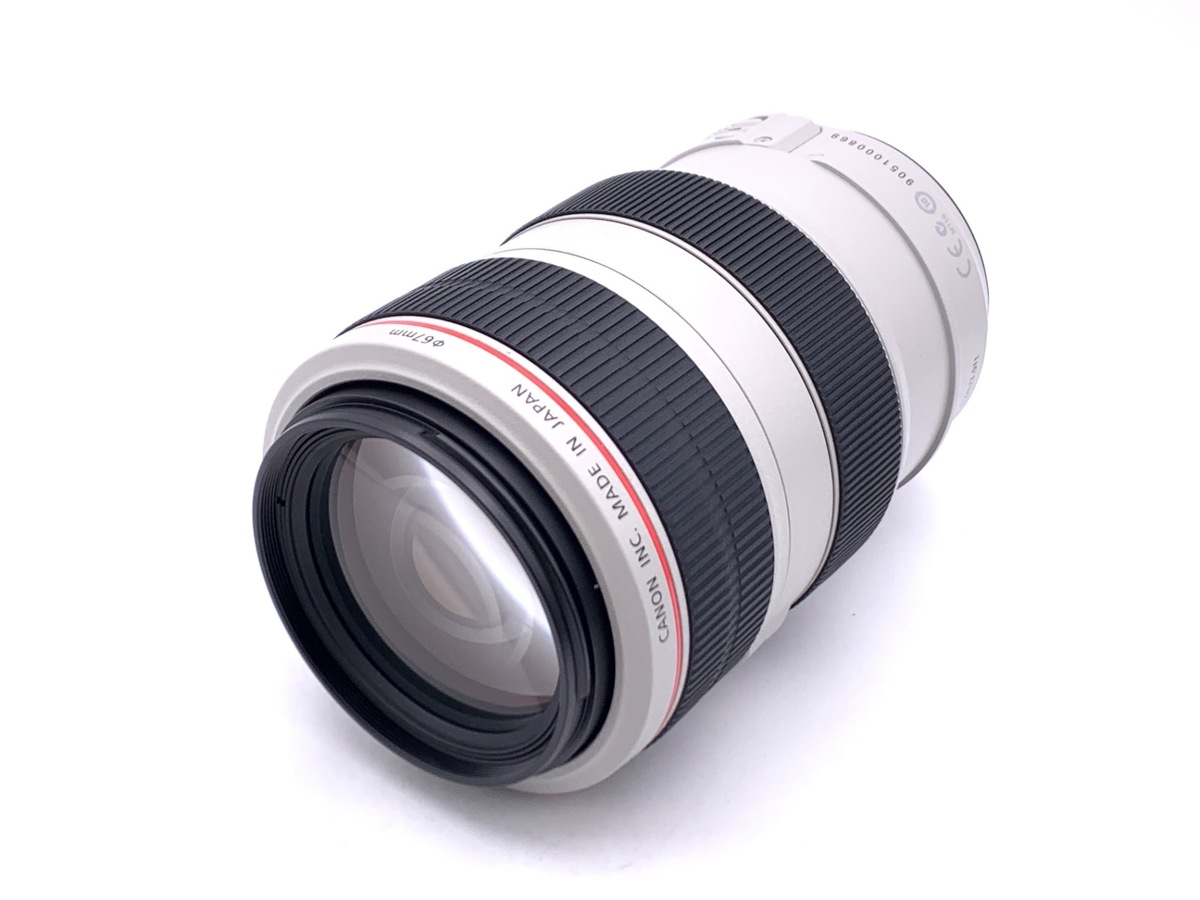 EF 70-300/4-5.6 L IS USM