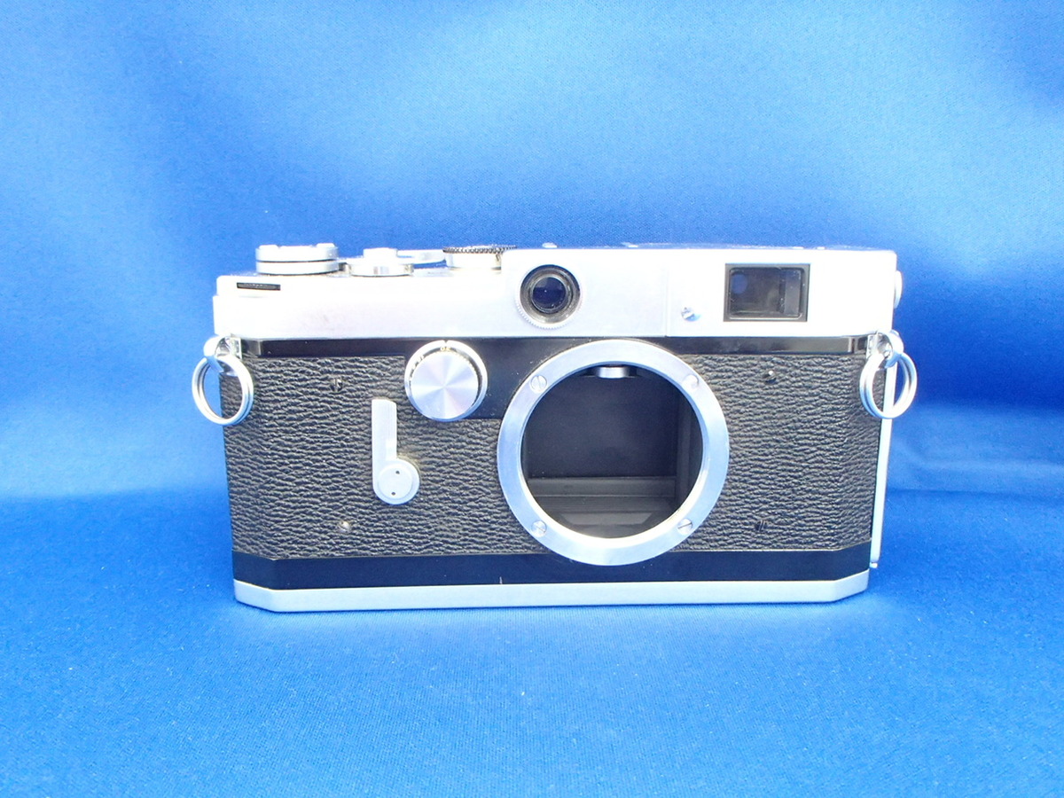 LmV L Body