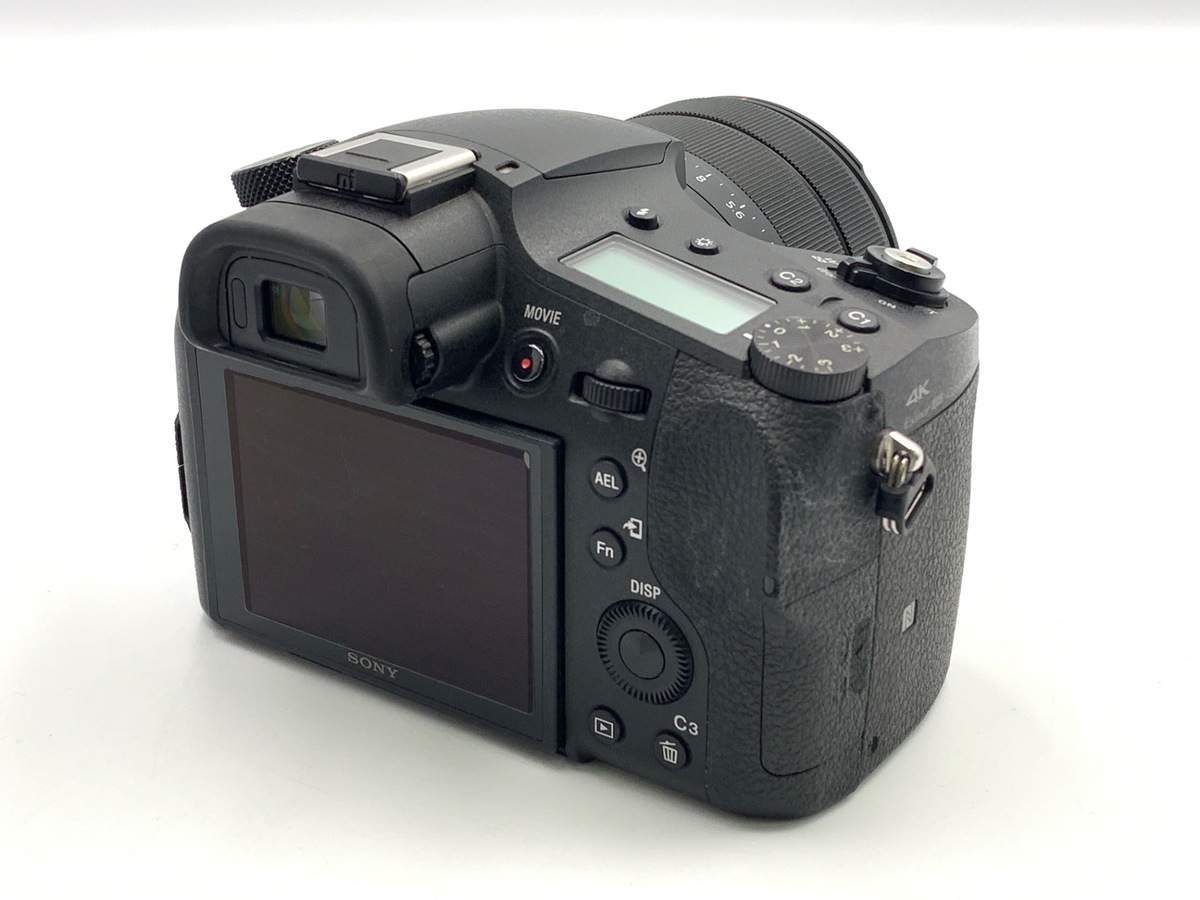 DSC-RX10M4�y2010����f�z