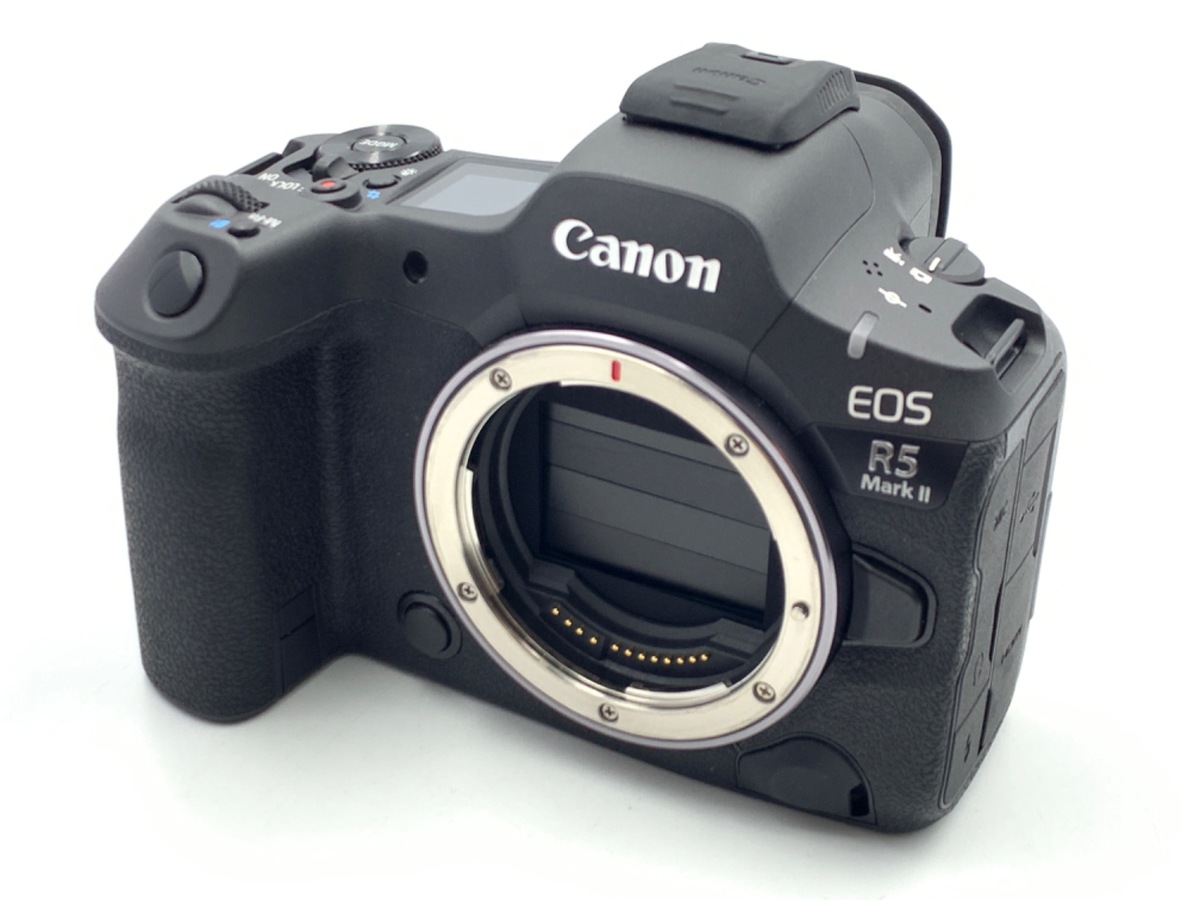 キヤノン 中古 1年保証 美品 Canon EOS 6D Mark II EF 24-105mm