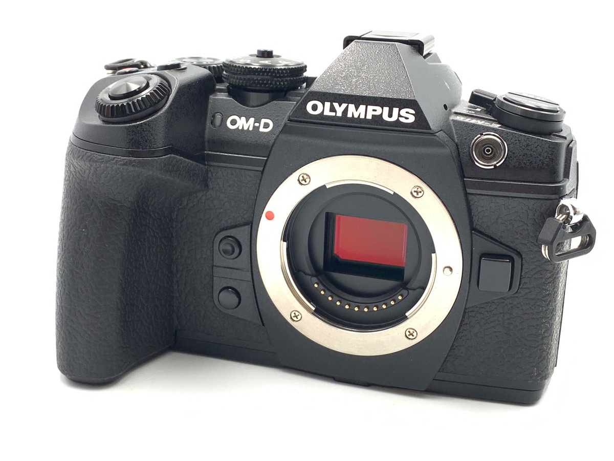 OLYMPUS ミラーレス一眼カメラ E-PL10 ボディー OLYMPUS オリンパス ミラーレス一眼カメラ PEN E-PL10 ボディー