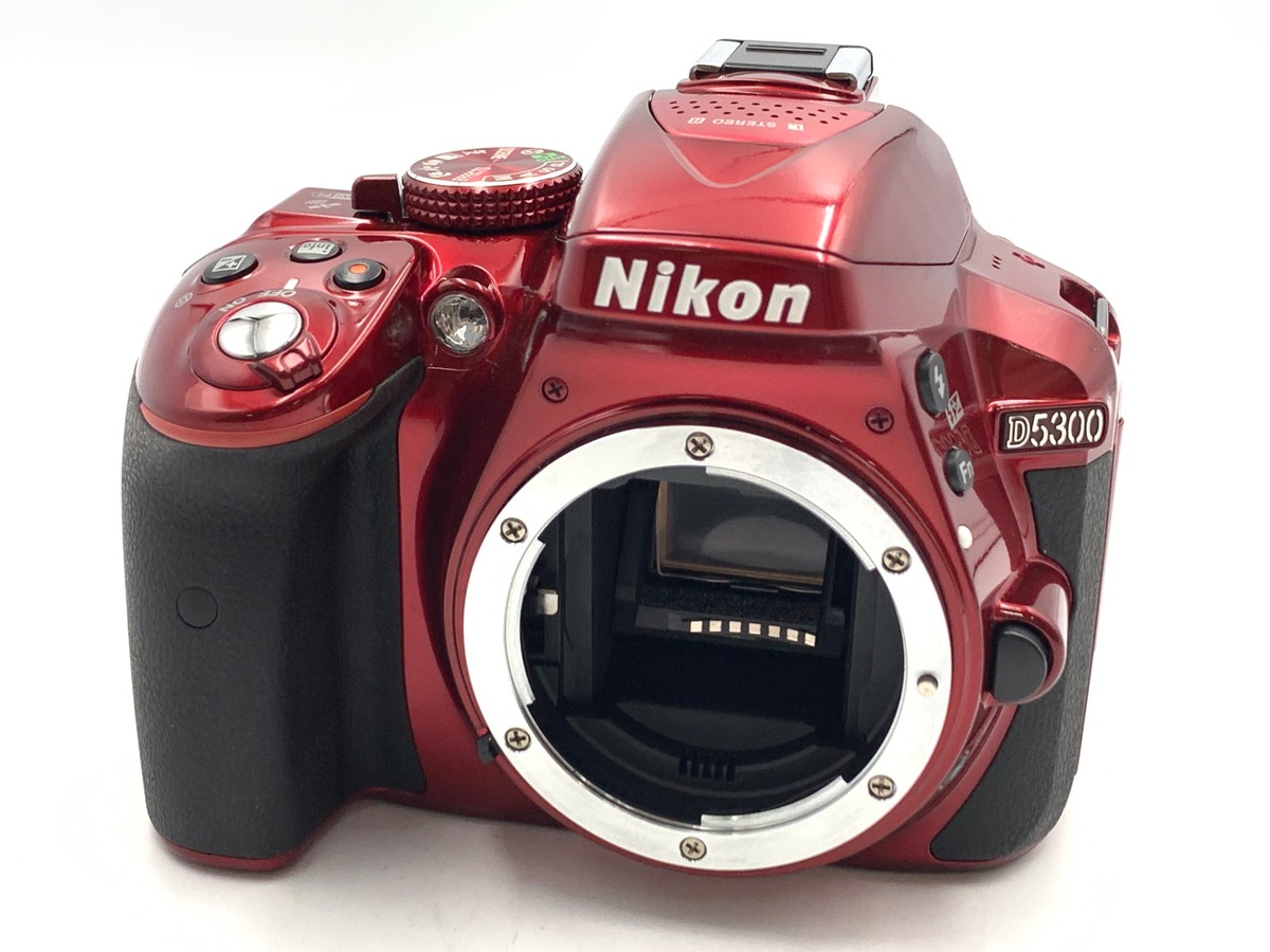 Nikon D5300 ボディ 格安レンタル] NIKON D5300 ボディ 一眼レフ 2泊3日～