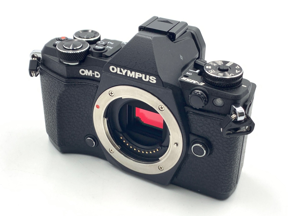 RYOオリンパス OM-D E-M1X ボディ【美品】 中古)OLYMPUS (オリンパス) OM-D E-M1X ボディ（商品ID