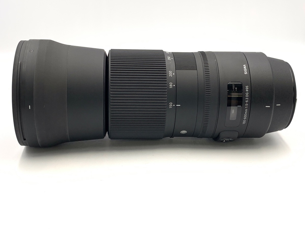SIGMA 150-600 F5-6.3 DG Contemporary F用 150-600mm F5-6.3 DG DN OS | Sports | レンズ | 製品 | Sigma