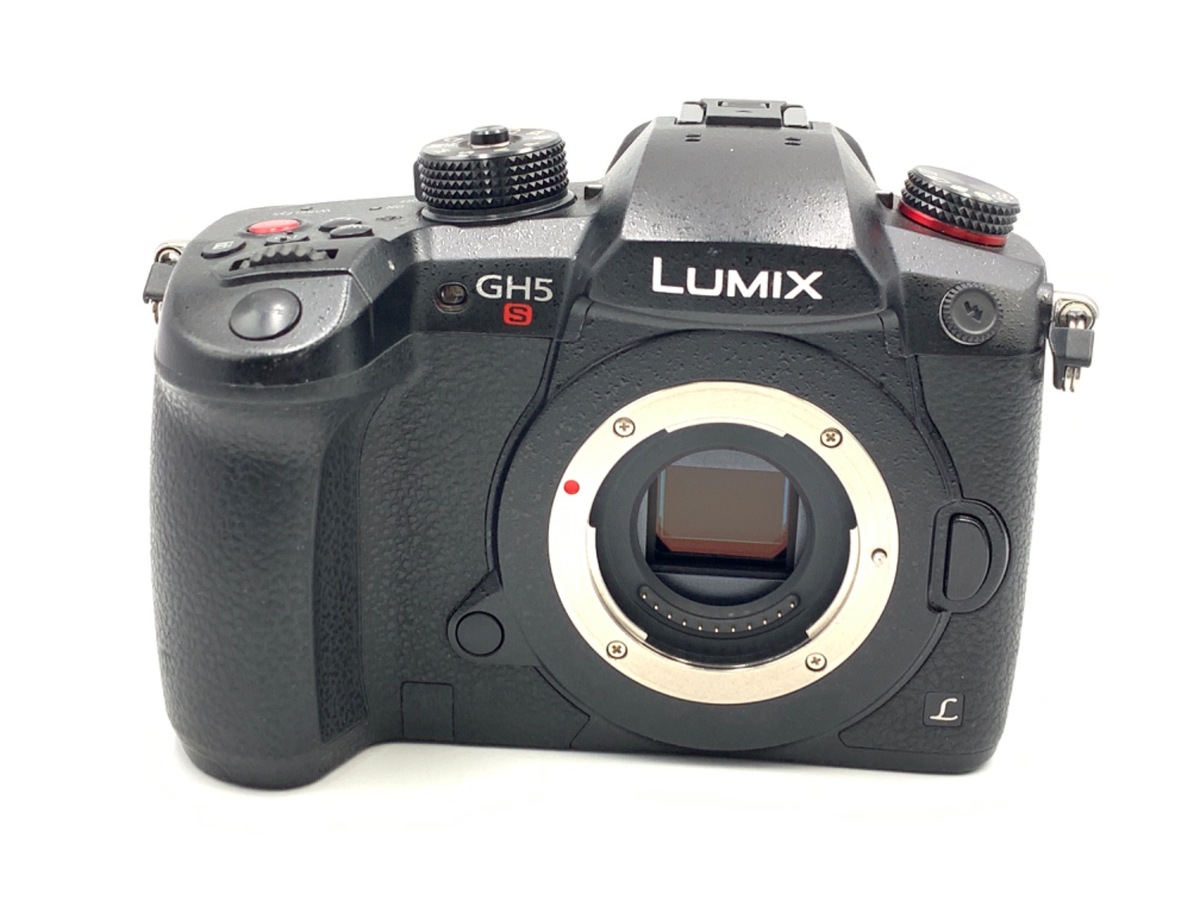 価格.com - パナソニック LUMIX DMC-GX1-K ボディ [エスプリブラック