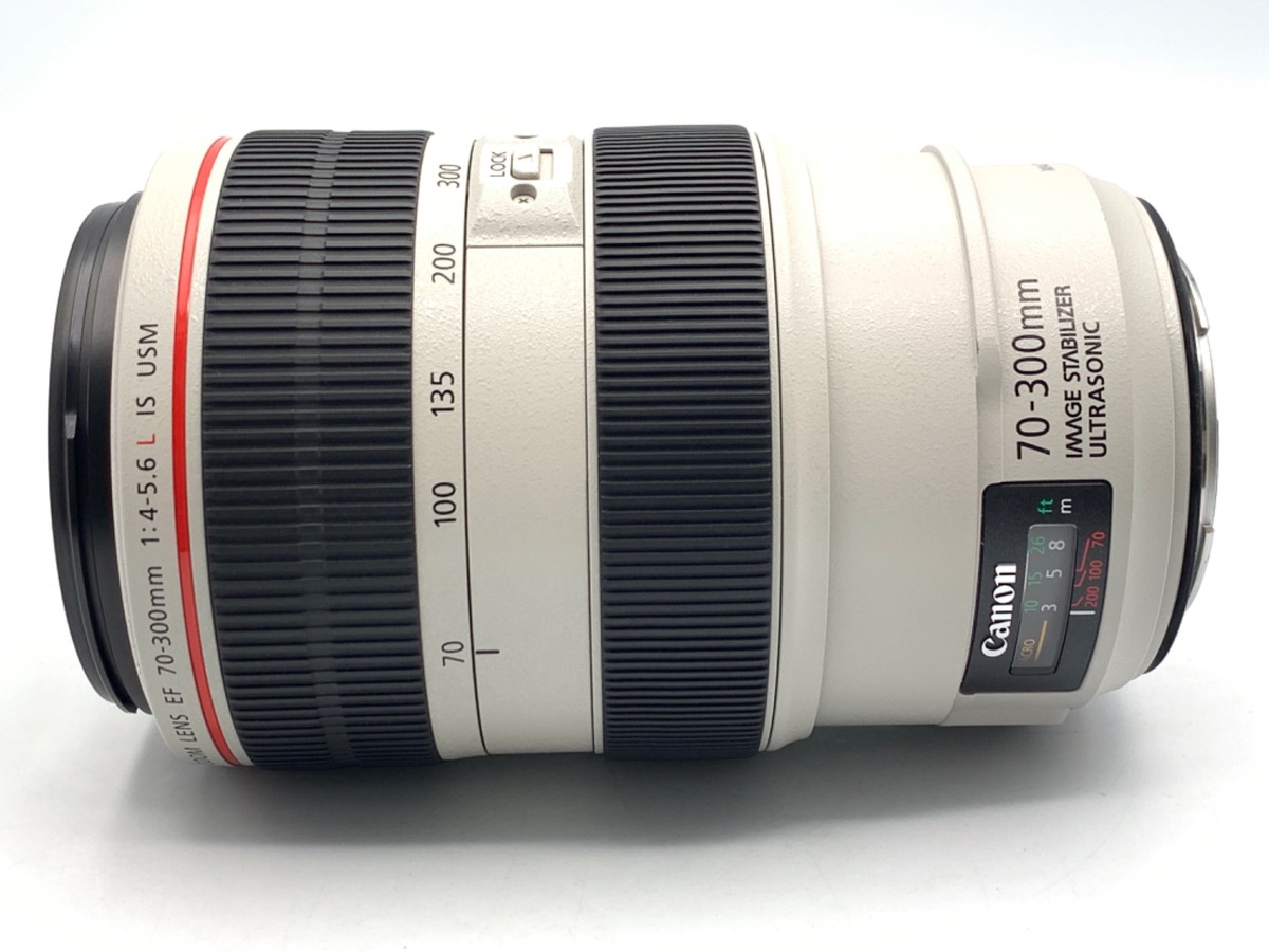EF 70-300/4-5.6 L IS USM