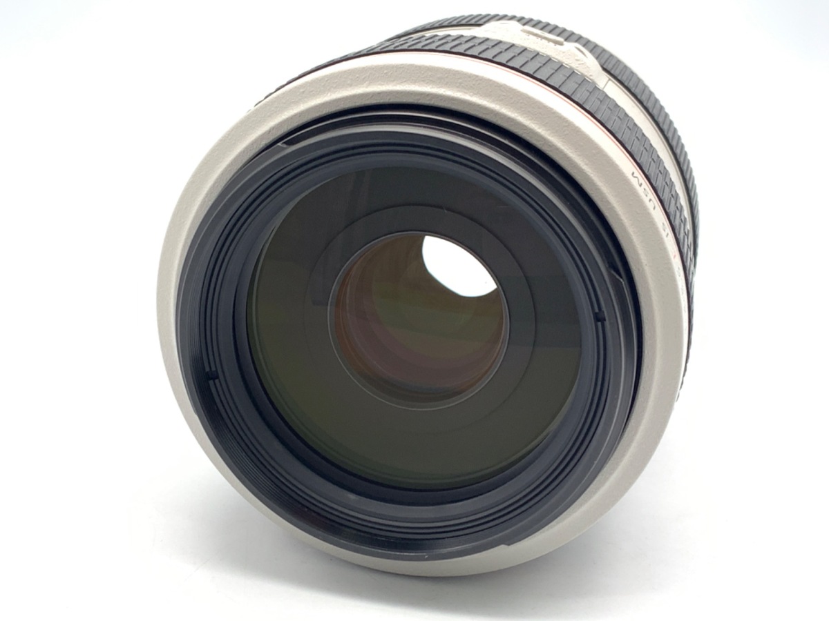 EF 70-300/4-5.6 L IS USM