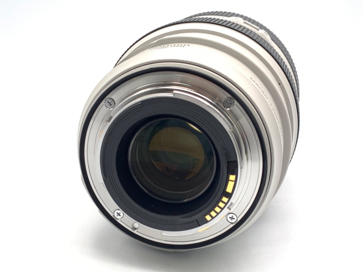 EF 70-300/4-5.6 L IS USM