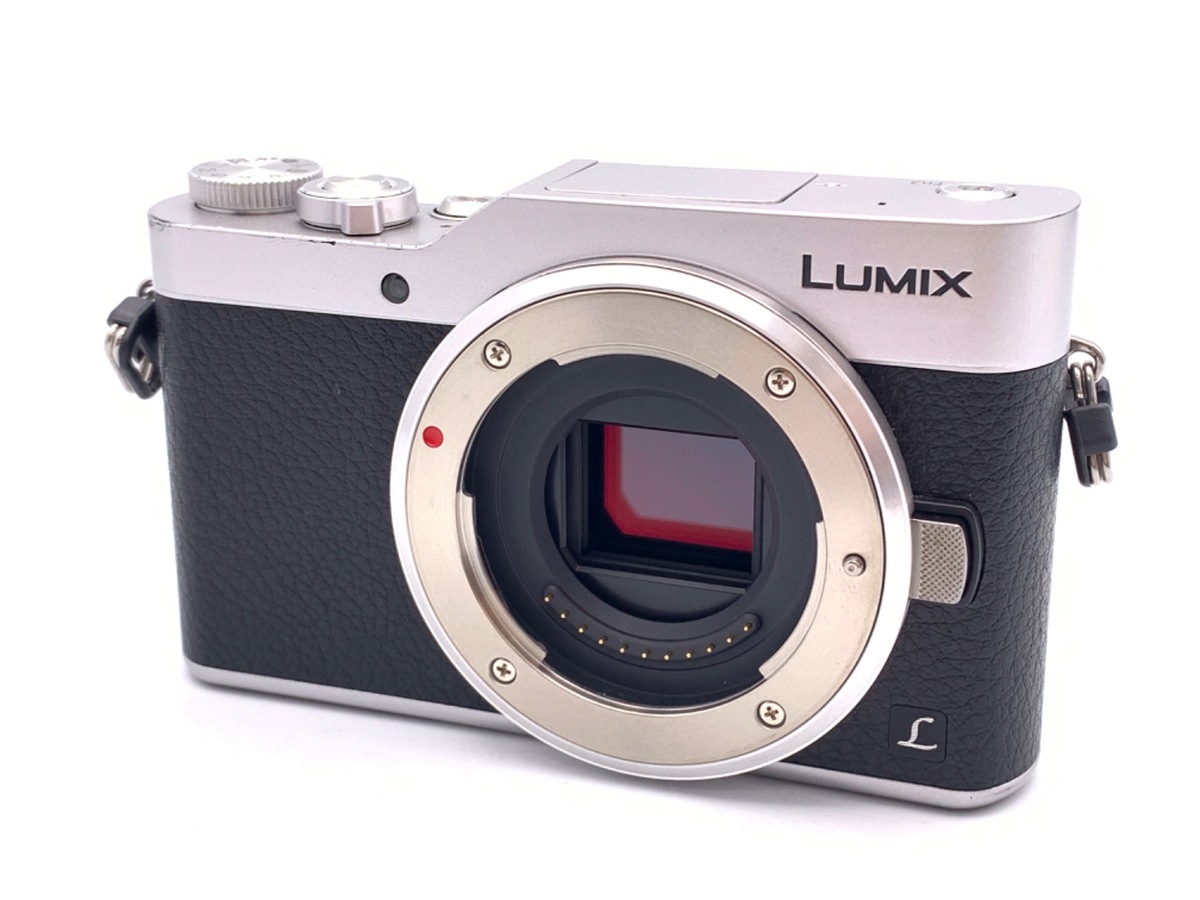 価格.com - パナソニック LUMIX DMC-G2 ボディ 純正オプション