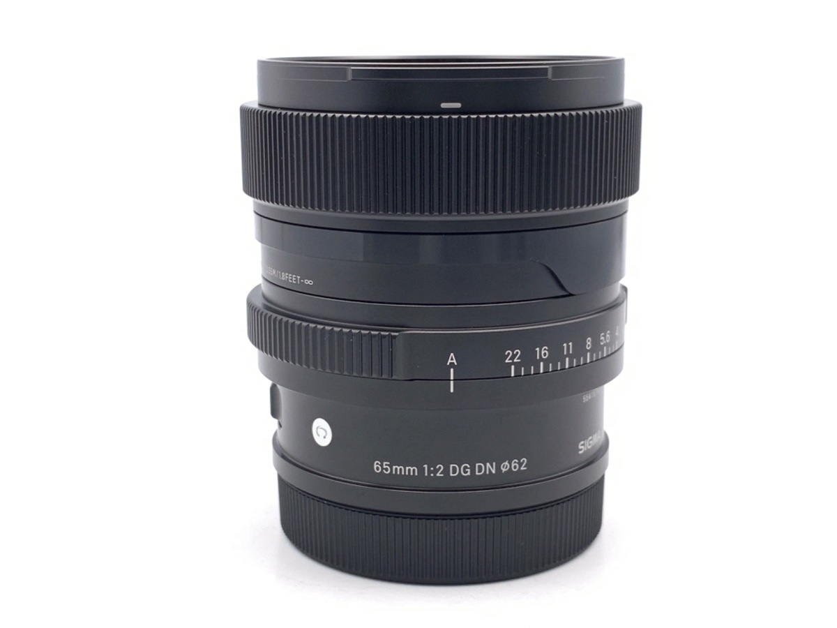 sigma 65mm f2 DG DN ライカLマウント Amazon.com : Sigma 65mm F2.0 DG DN for Sony E Mount