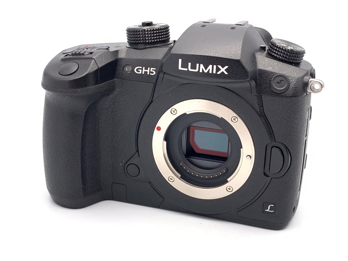 デジタルカメラ LUMIX GH5 パナソニックの最高峰ミラーレスカメラ「LUMIX GH5」が登場