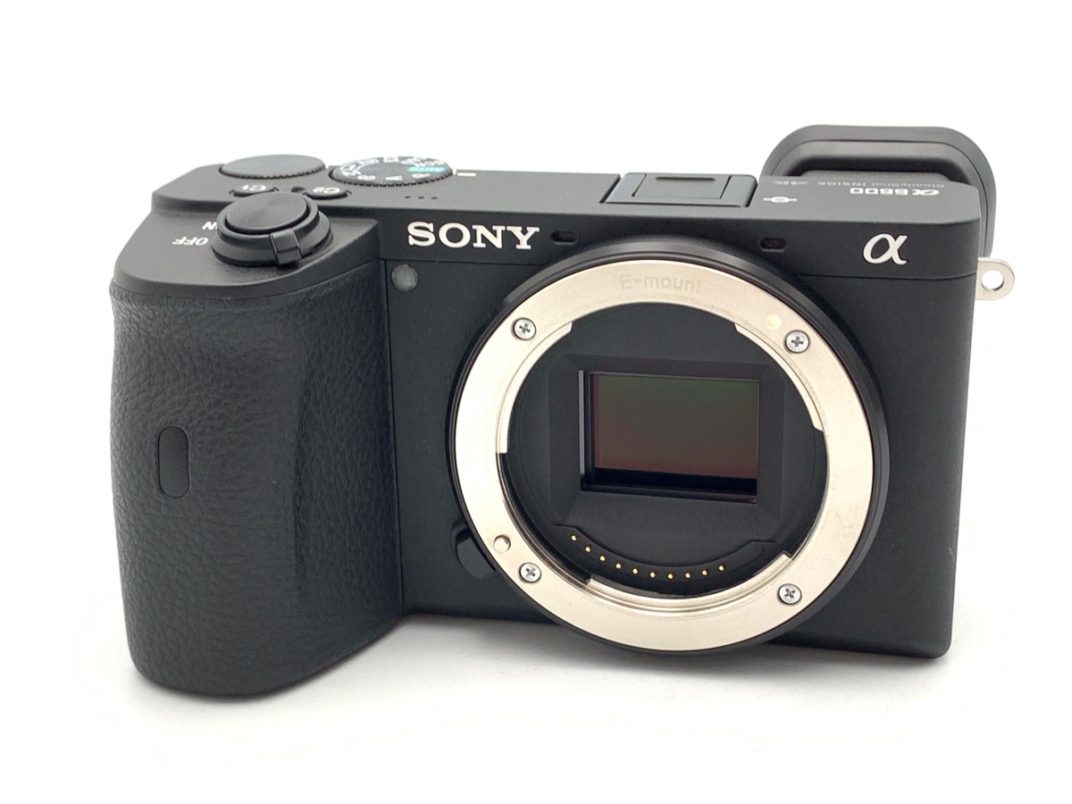 ソニー α6600 ボディ [ILCE-6600]