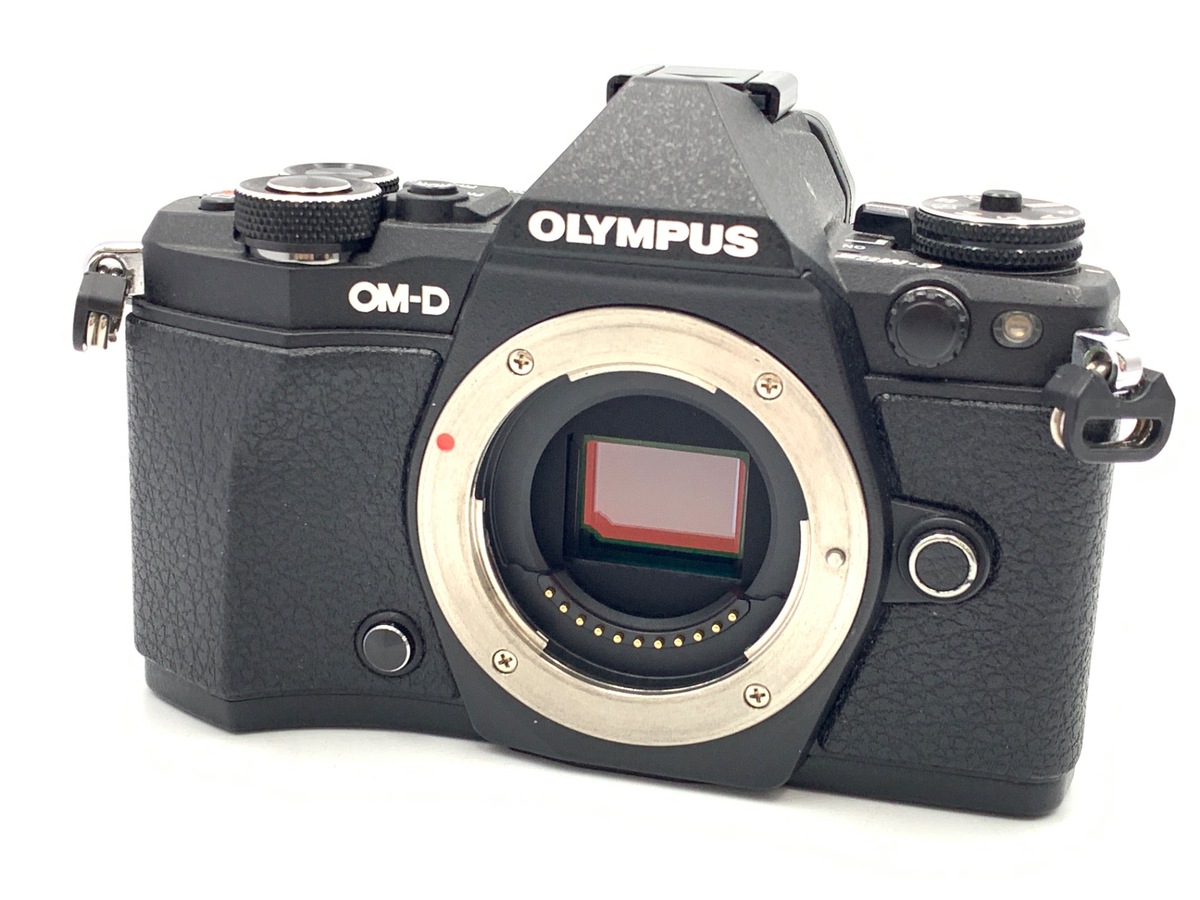 限定品 激レア　オリンパス OM-D E-M5 Mark II チタニウム important_image.jpg