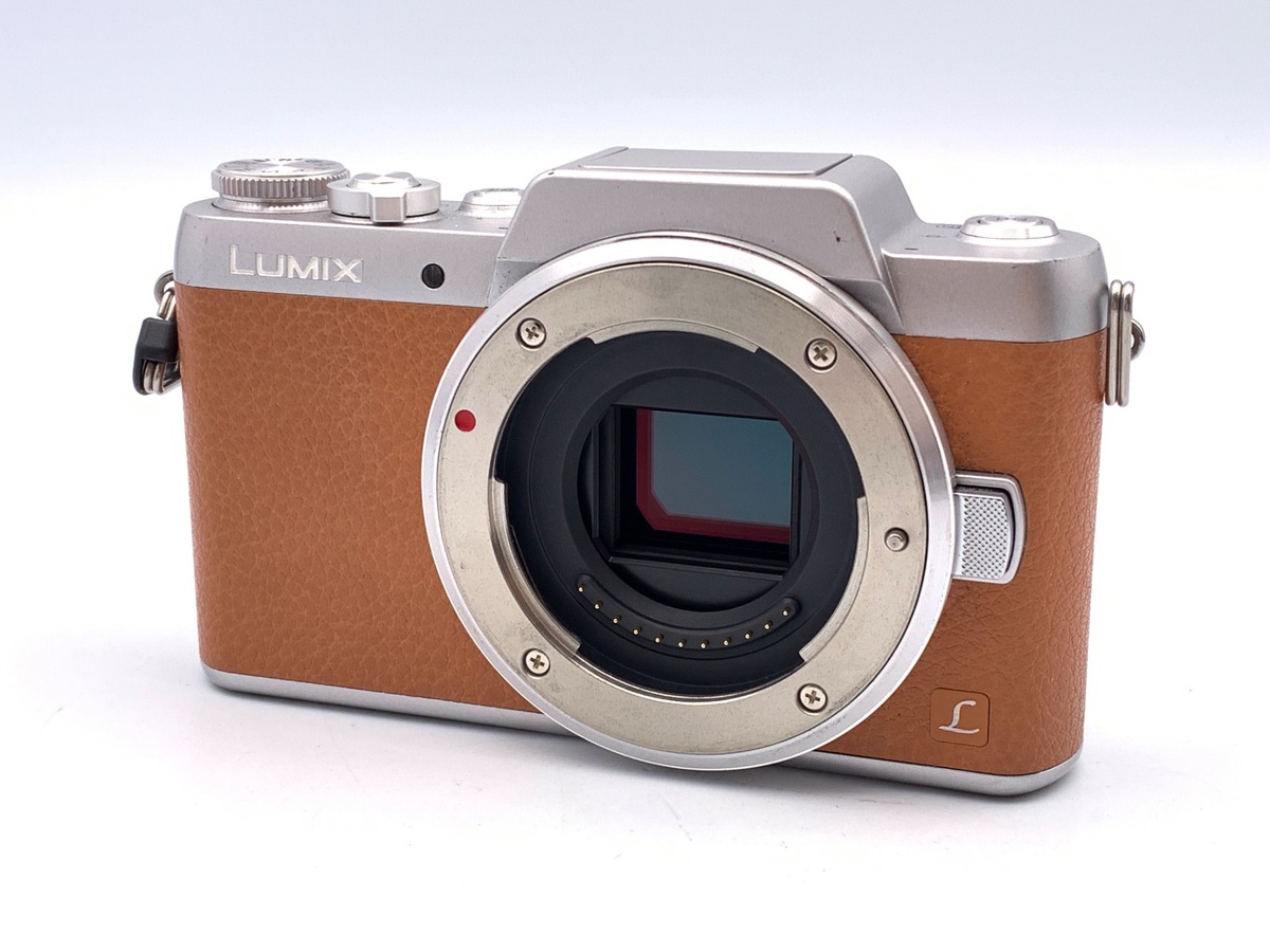 �p�i�\�j�b�N DMC-GF7 �{�f�B �u���E��