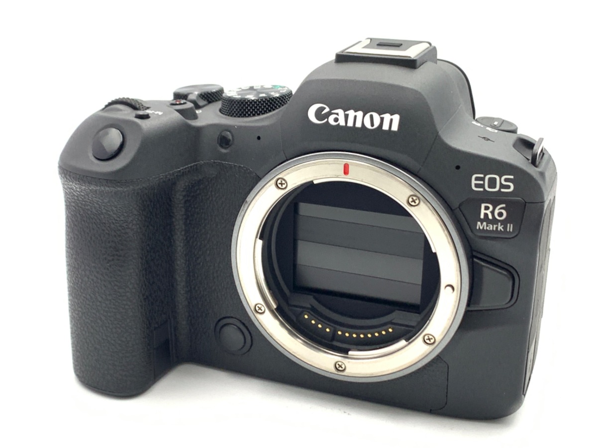 Canon - 【中古】(キヤノン) Canon II D(改)ボディ 2025年最新】canon Ⅱdの人気アイテム - メルカリ