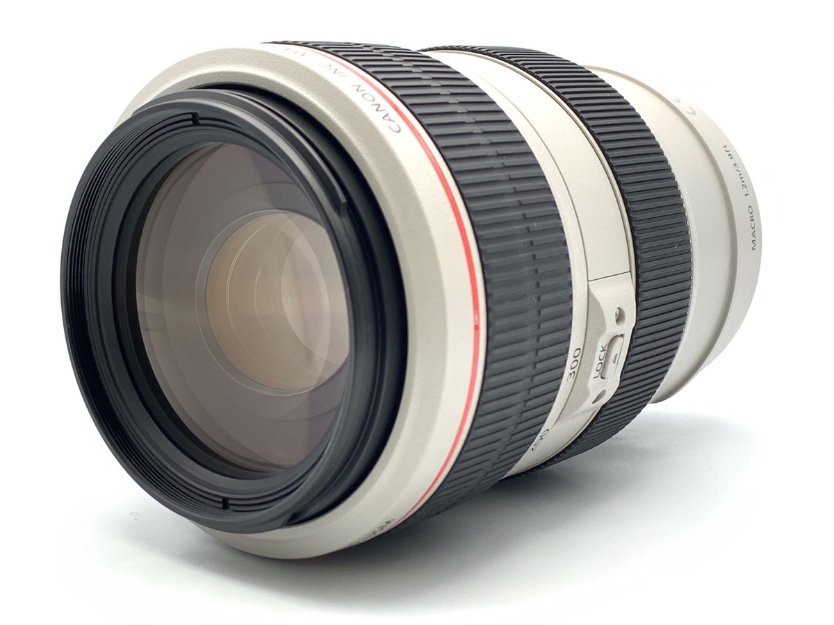EF 70-300/4-5.6 L IS USM