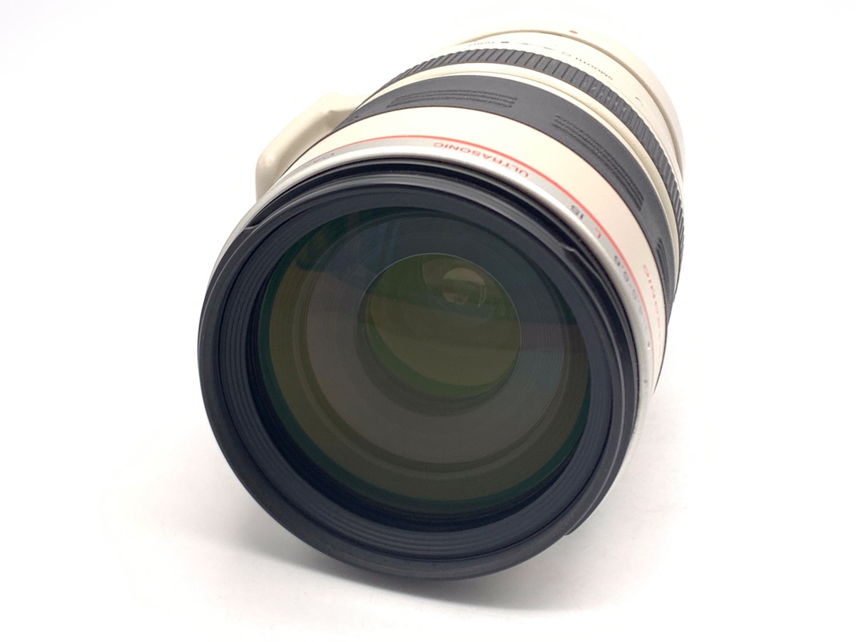 EF 100-400/4.5-5.6 L IS USM