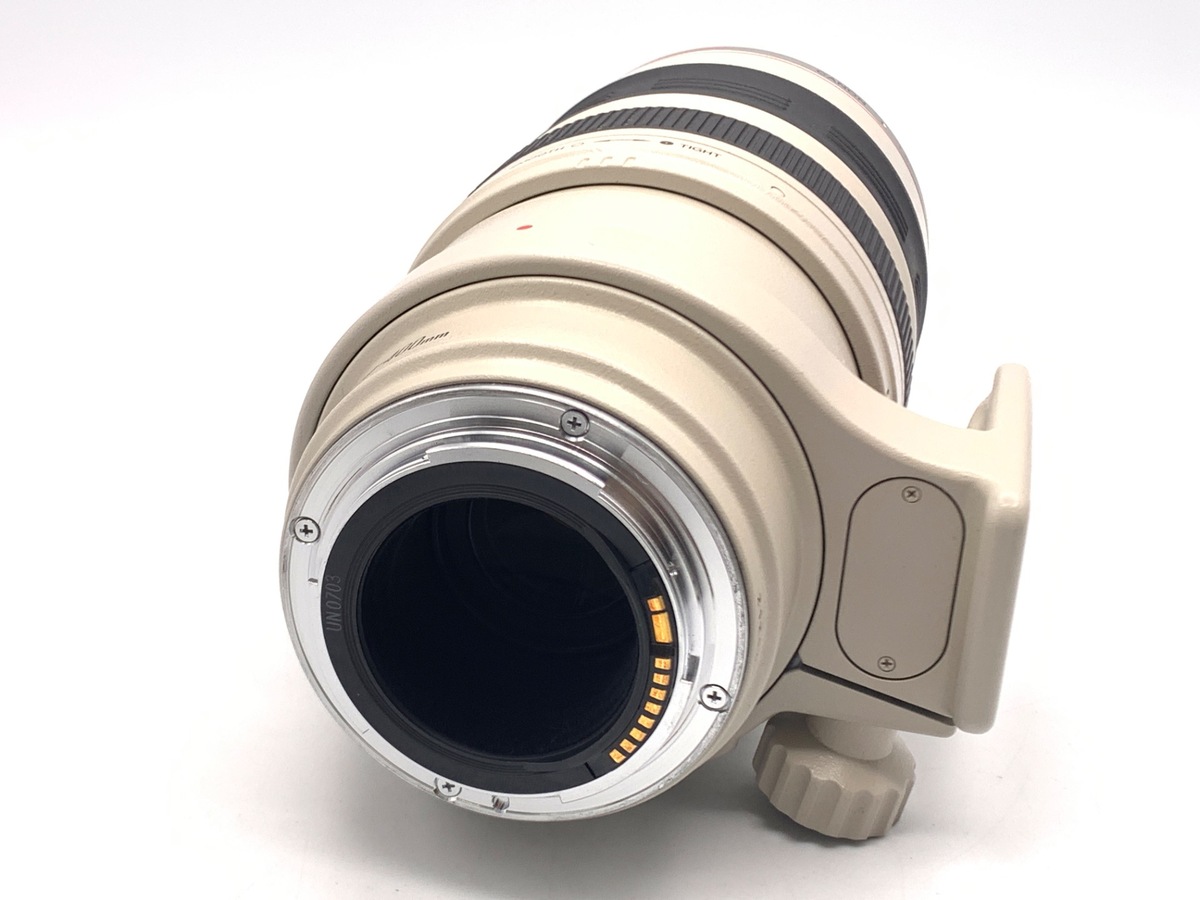 EF 100-400/4.5-5.6 L IS USM