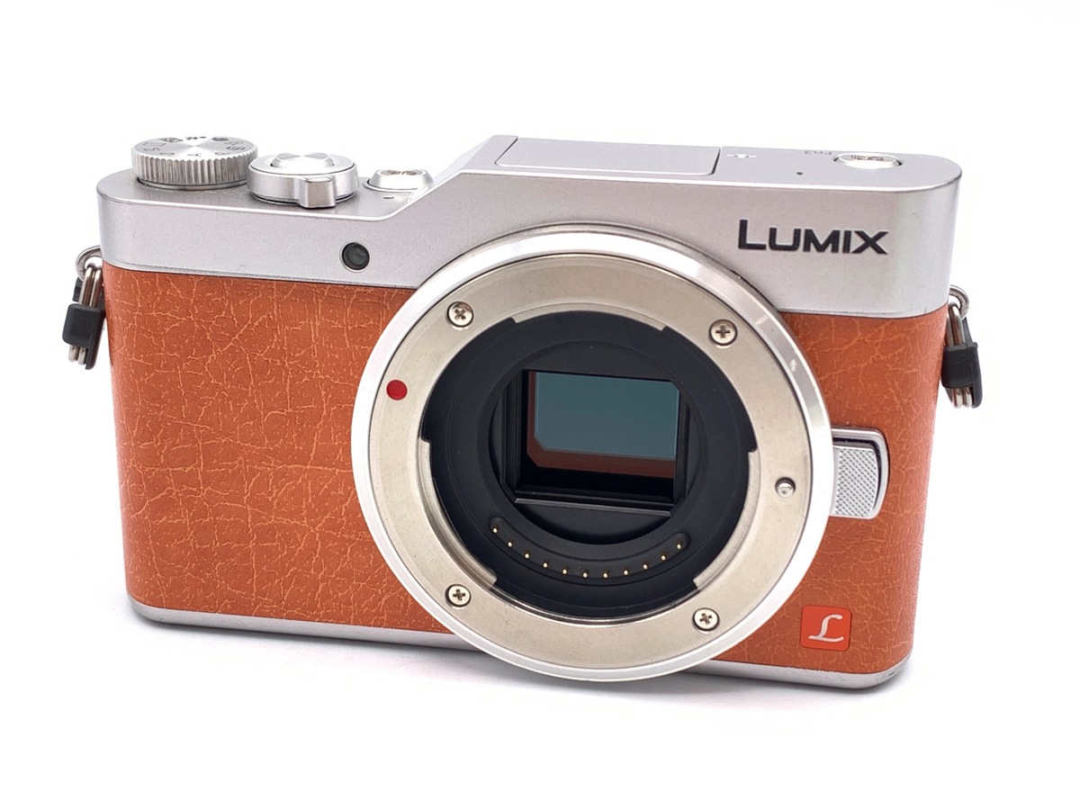 価格.com - パナソニック LUMIX DMC-GF5 ボディ 価格比較