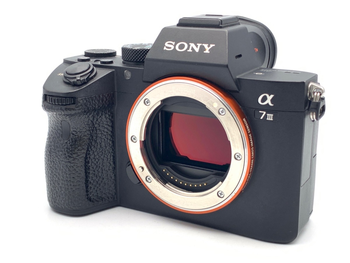 ソニー SONY デジタル一眼レフ α33(ズームレンズキット) SLT-A33L