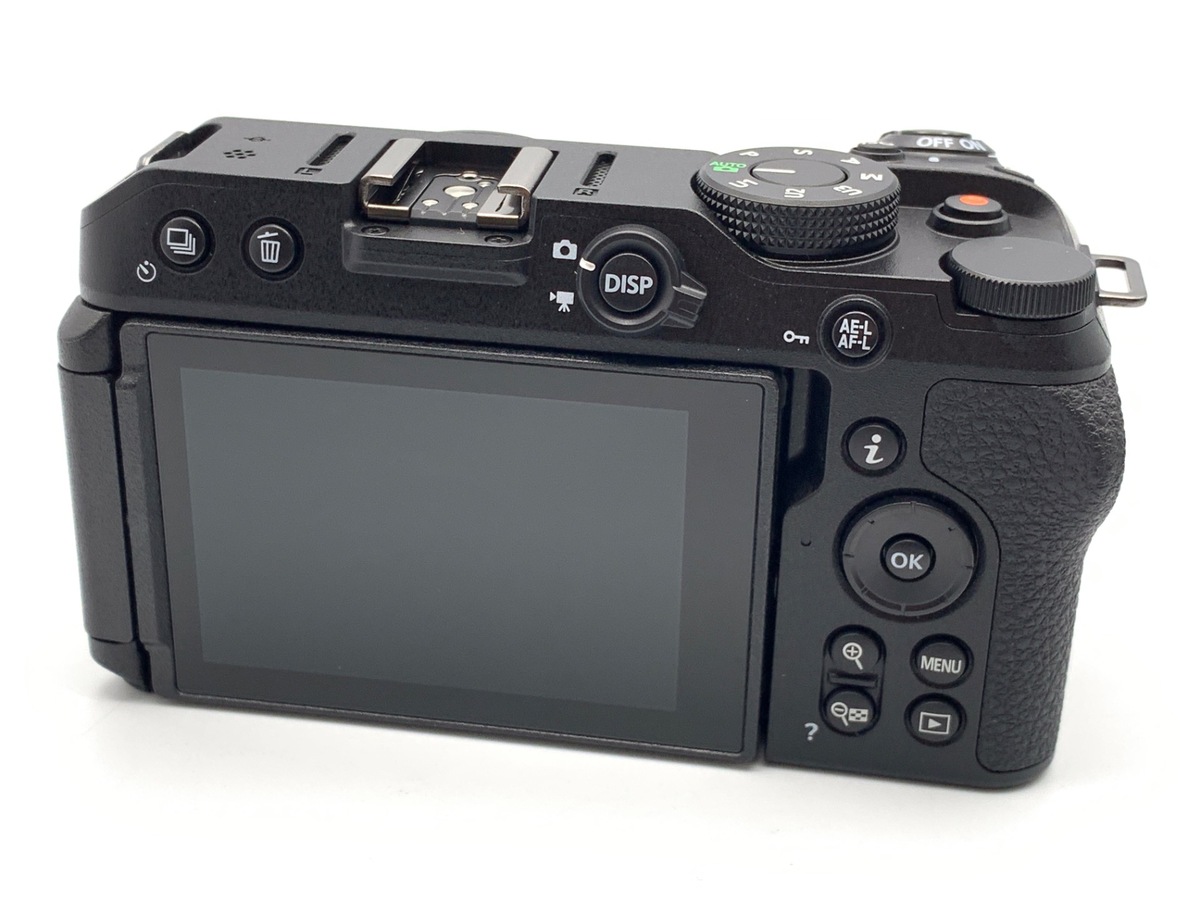 Z 30 ボディ