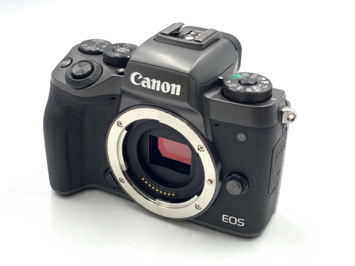 Canon EOS 6D Mark II 本体 Canon EOS 6D Mark II DSLR Camera Body {26.2MP}
