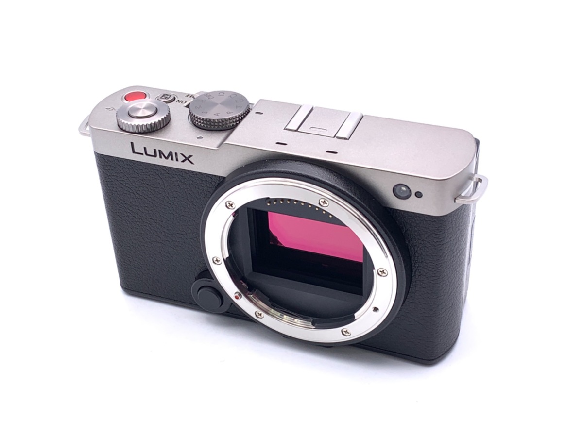 LUMIX DC-S9 ボディ 中古価格比較 - 価格.com