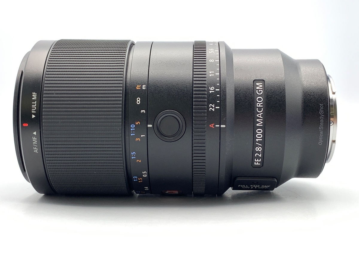 FE 100mm F2.8 Macro GM OSS [SEL100M28G]