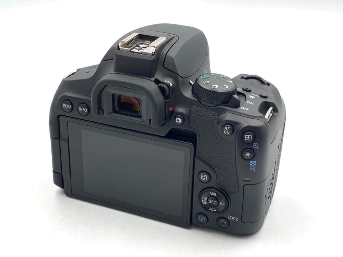 EOS Kiss X10i ���ި�y2410����f�z