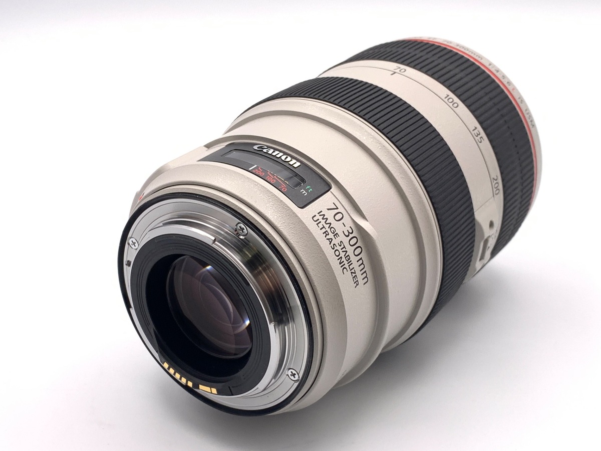 EF 70-300/4-5.6 L IS USM