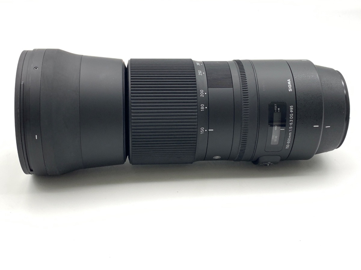 Canon用EF シグマ150-600mmF5-6.3 contemporary 150-600mm F5-6.3 DG OS HSM | レンズ | Sigma