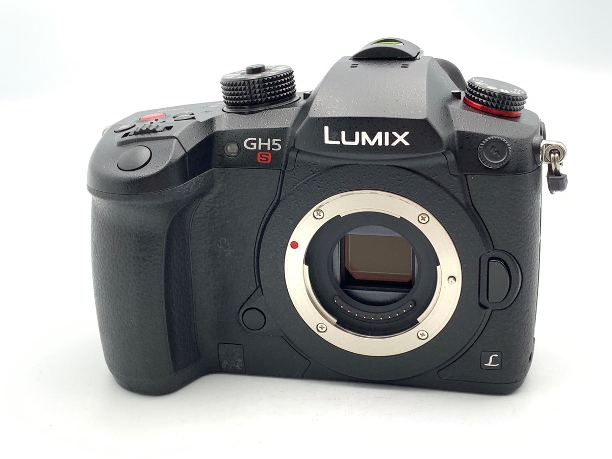 価格.com - パナソニック LUMIX DMC-GF1K レンズキット 純正オプション