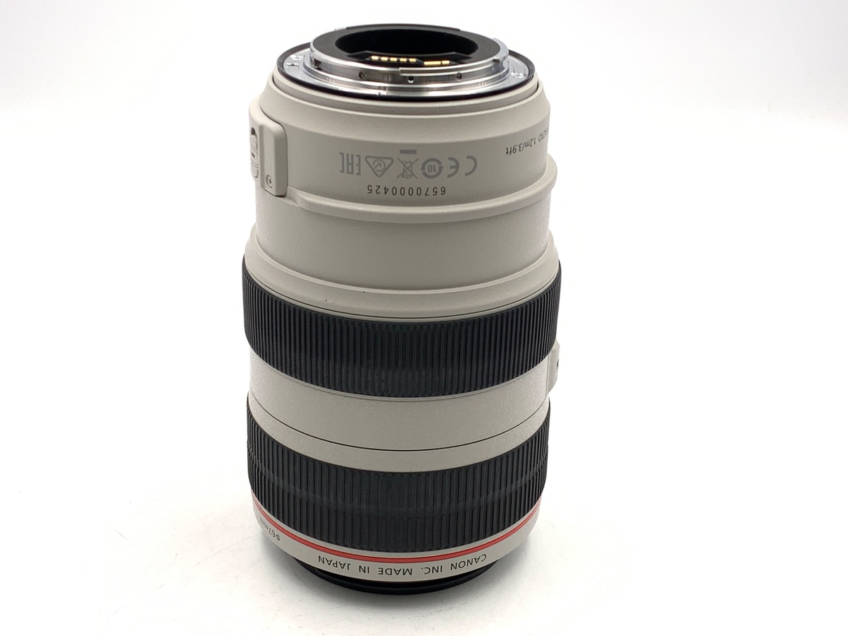 EF 70-300/4-5.6 L IS USM